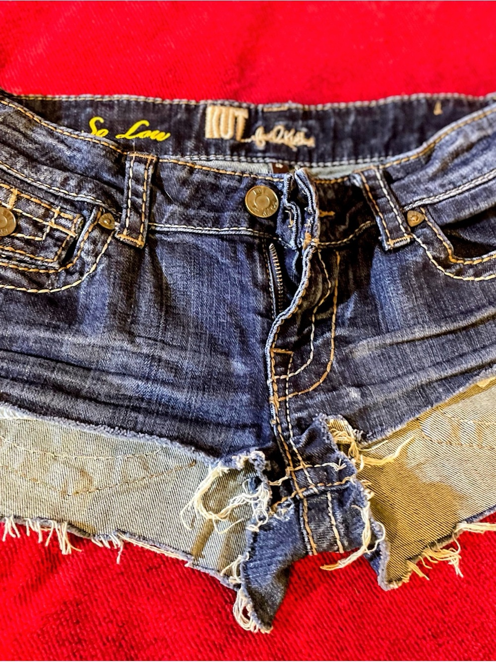 Kut from the Kloth Dark Wash Frayed Denim Shorts
